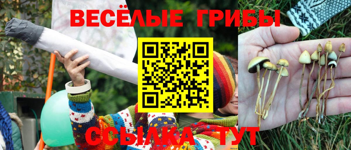 Кольчугино  Галлюциногенные грибы GOLDEN TEACHER  дарнет шоп  Вход с VPN 