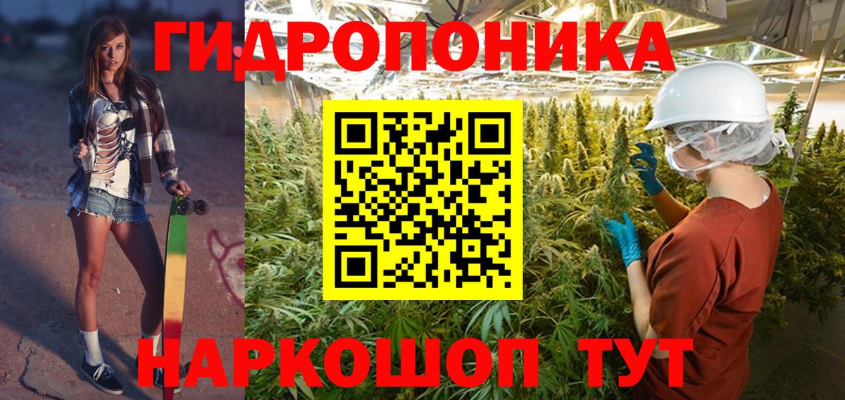 Конопля Bruce Banner  Конопля сатива  Кольчугино  Вход с VPN  Канабис индика  Канабис AK-47 